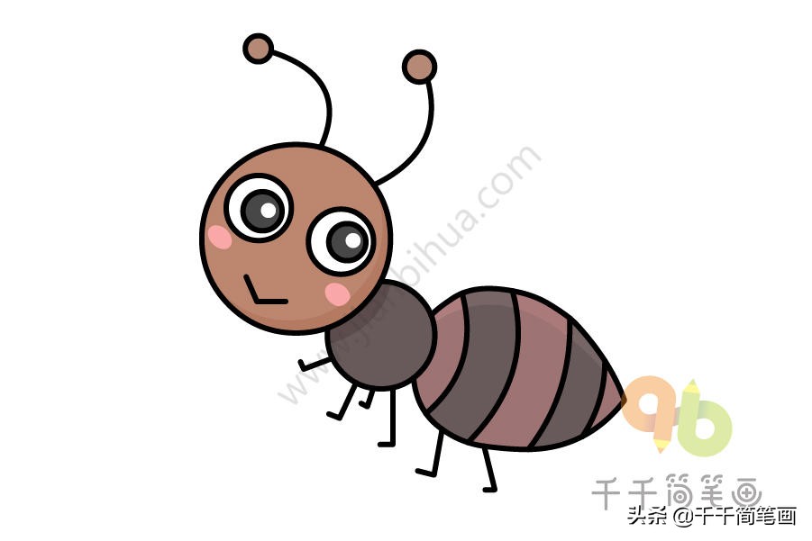 昆虫简笔画和介绍,昆虫简笔画及简介