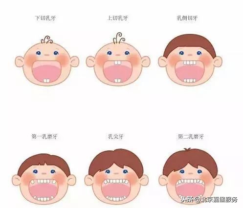 宝宝牙长得慢是怎么回事,新牙长得慢是什么原因