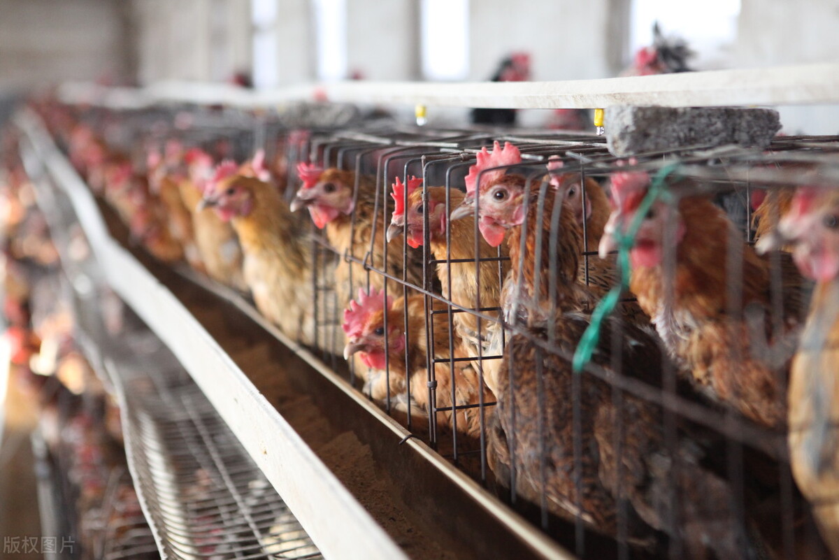 因环保关停企业如何维权,因环保被关停的企业是否有补偿