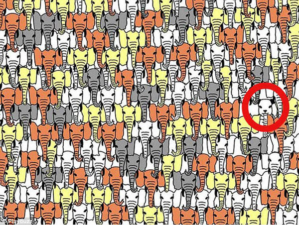 观察力11万人未答对,观察力训练和思维能力训练方法