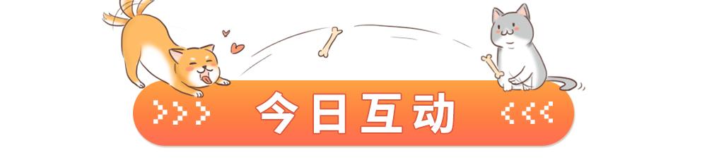 人狗寄生虫,狗狗得寄生虫病去医院治要多少钱