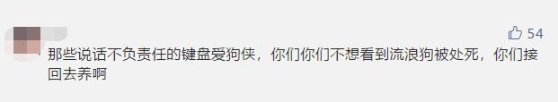 一律毒杀！缅甸小镇，政府下令毒杀流浪狗，中毒流浪狗满嘴血