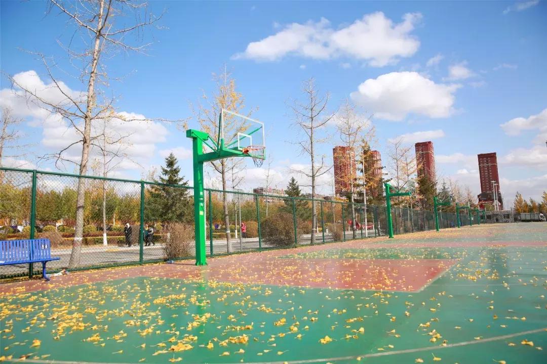 辽宁中医药大学杏林学院规模,辽宁中医学院杏林学院的排名