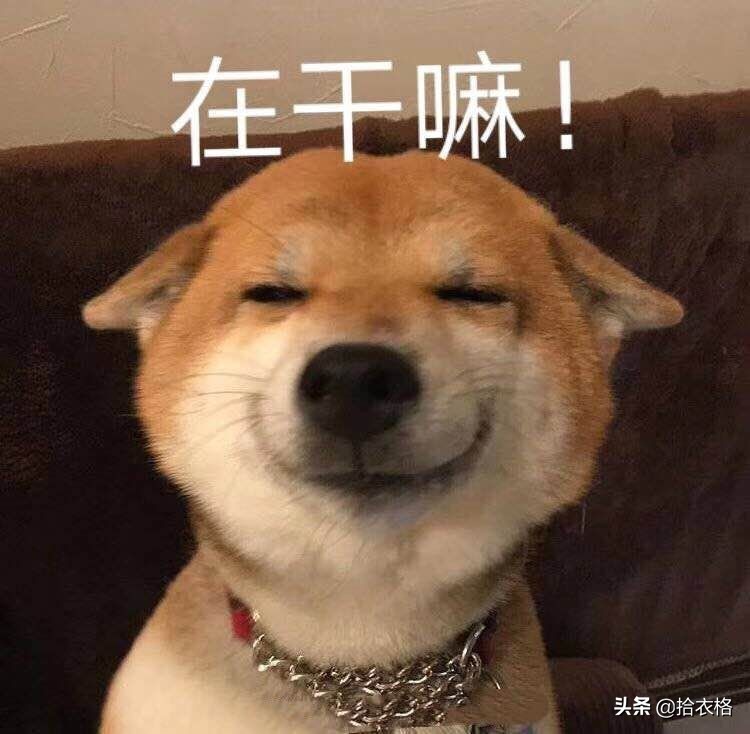 欧阳娜娜张子枫时尚芭莎,张子枫欧阳娜娜合照衣服