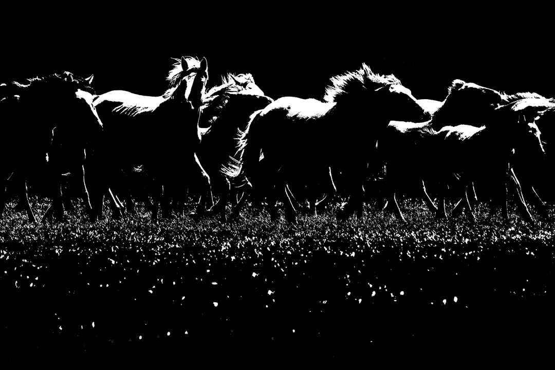 拍马都追不上的成语,拍马都赶不上的成语