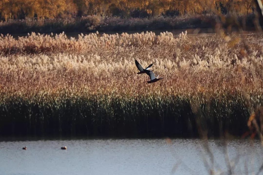亲爱的客栈3沙漠取景,亲爱的客栈3拍摄地方
