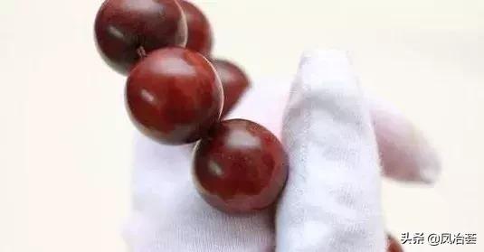 穿越千年的枫香,穿越千年古树