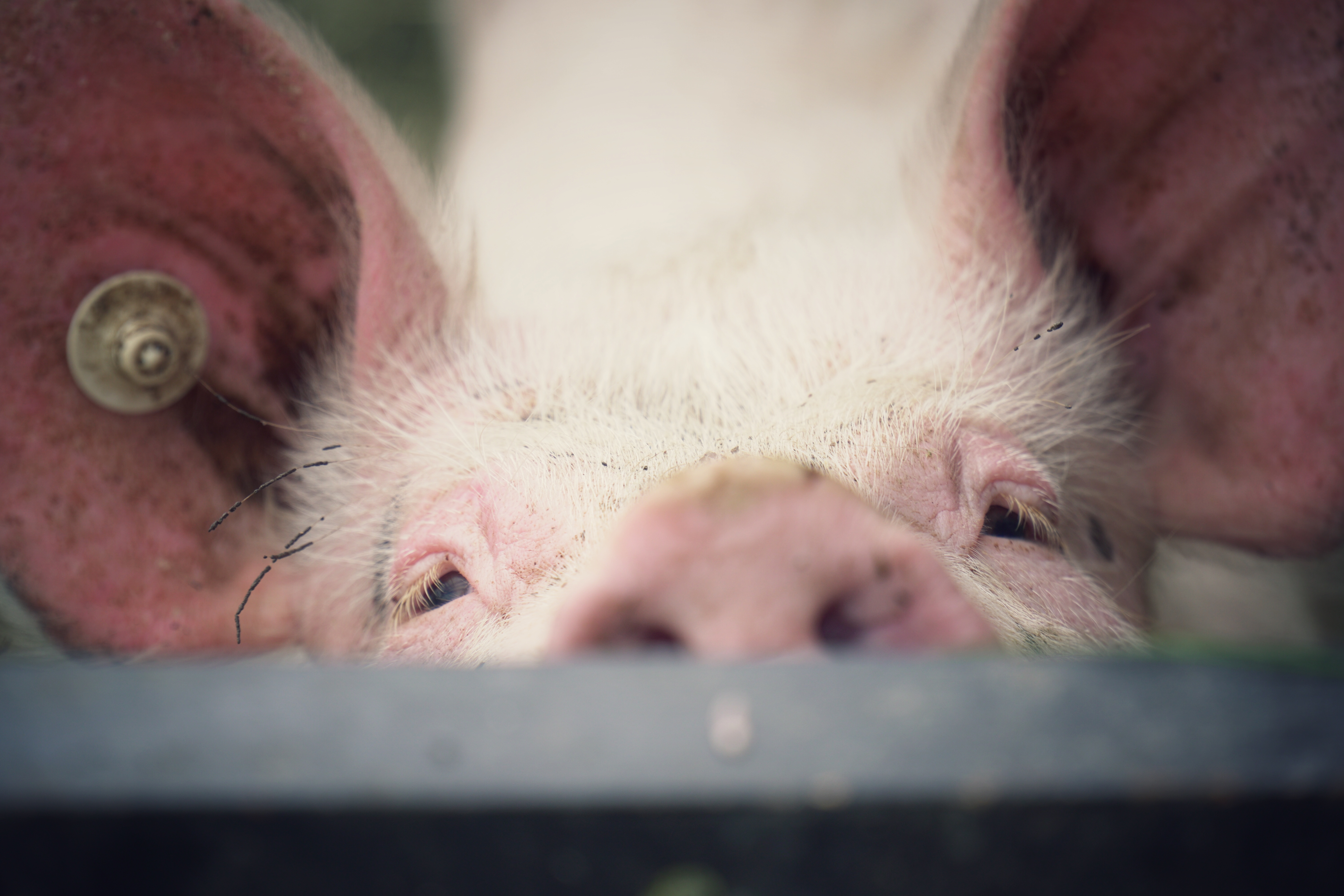 适合5天徒步的登山鞋,第一双登山鞋