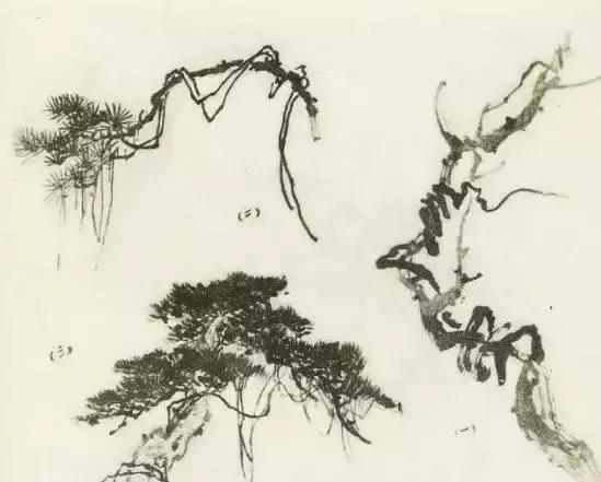 缠枝、挺杆、屈节、钮裂、一棵树如何画？看了这篇你绝对能学会