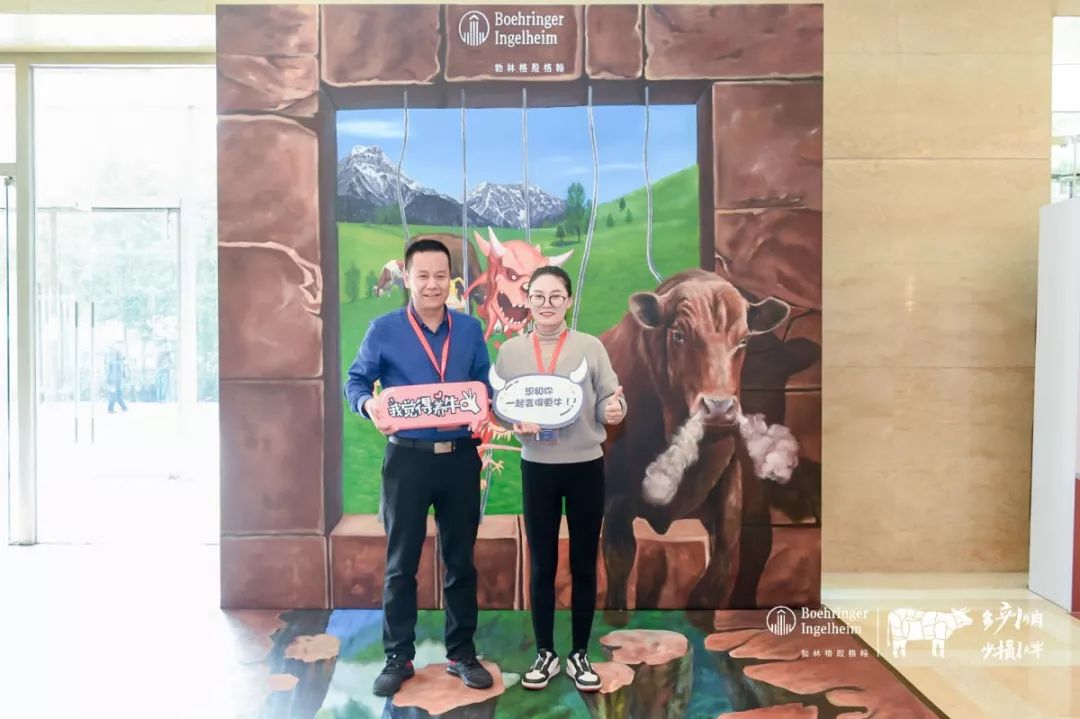 这一次，风口上站的是肉牛