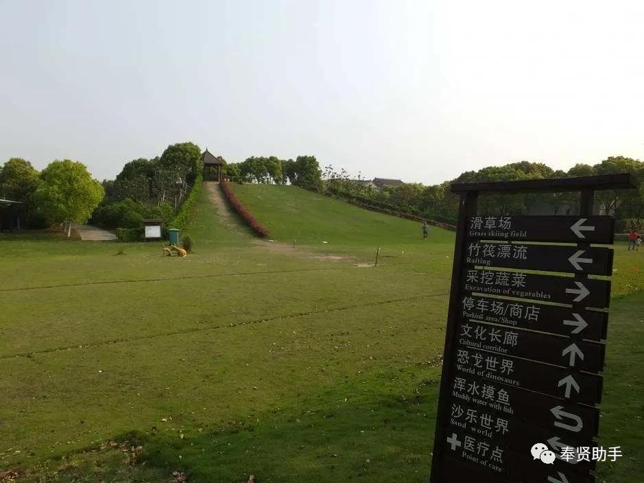 奉贤区南桥镇旅游景点,上海奉贤景点推荐一日游最佳路线