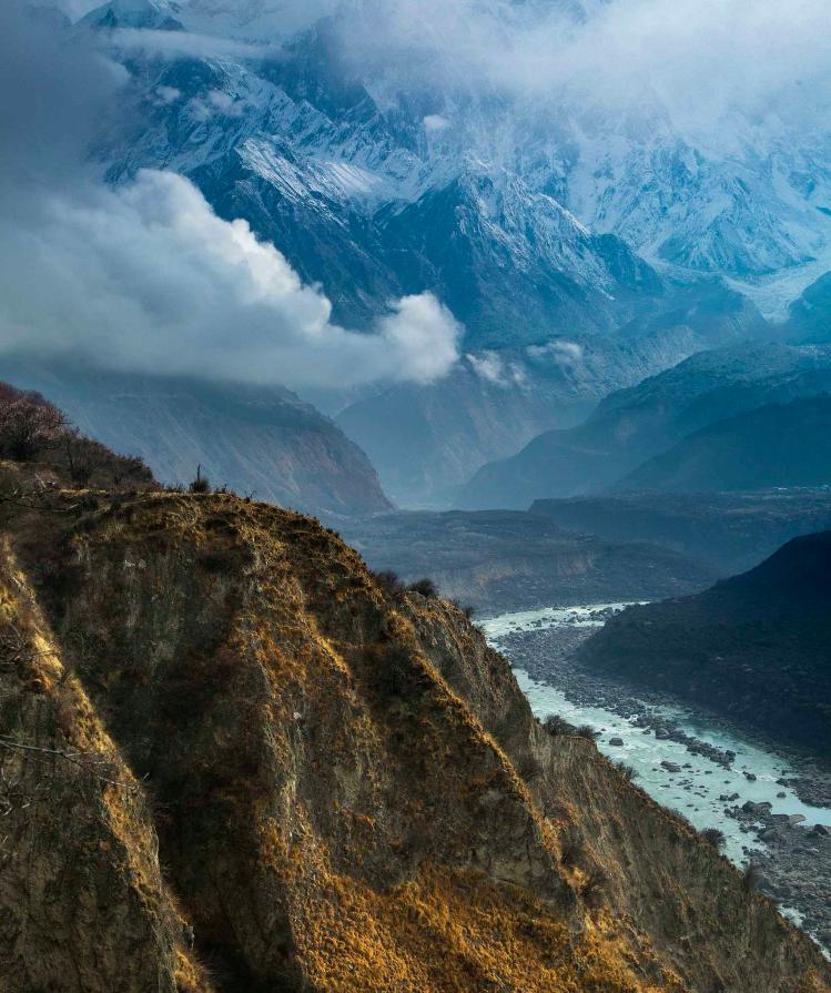 松茸的吃法大全视频,松茸的吃法周岁宝宝可以吃吗
