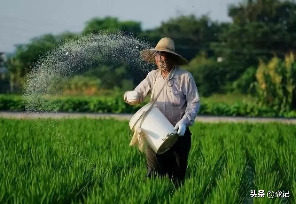 春节又到了回家的时候,又到了返乡过年的时候