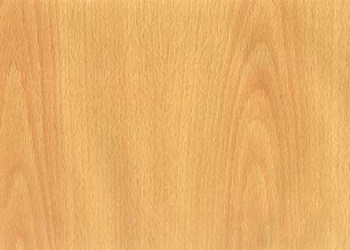 今日识木品种:榉木、香樟木、楠木、椴木、水曲柳及柳桉木