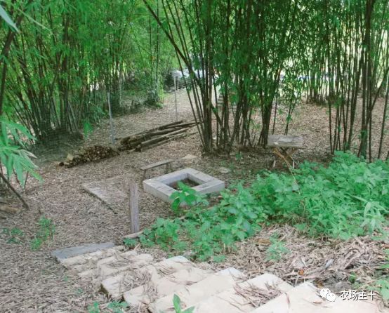 总共花了不到700元改造的废弃小院,花4万改造房子