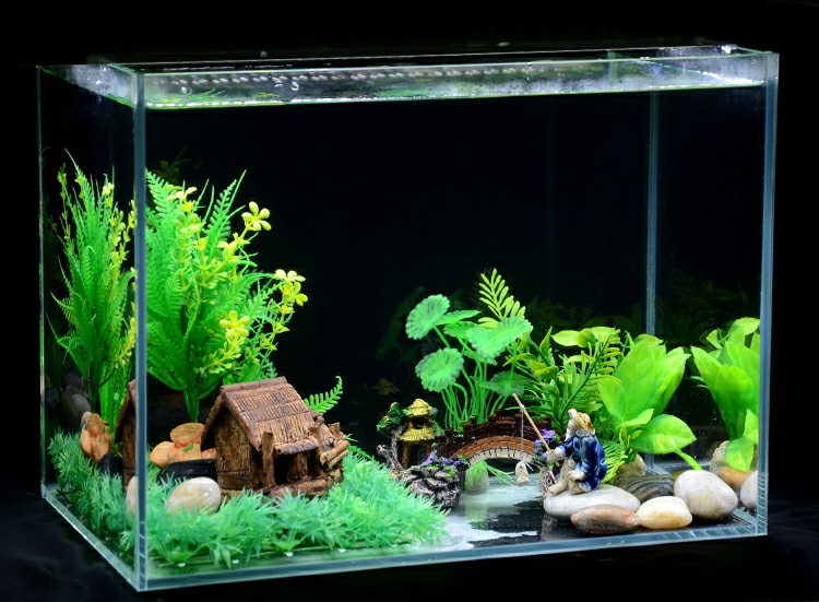 鱼缸能用塑料水草吗,塑料水草怎么消毒