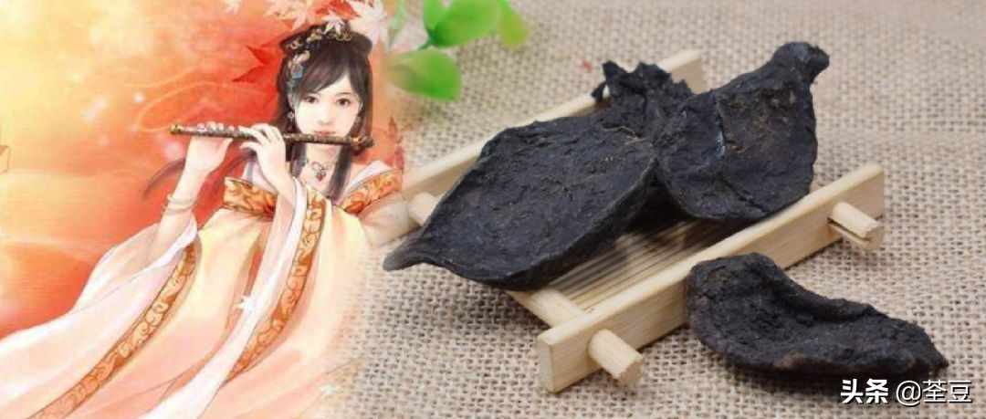 何首乌名字的由来,何首乌因为什么得名