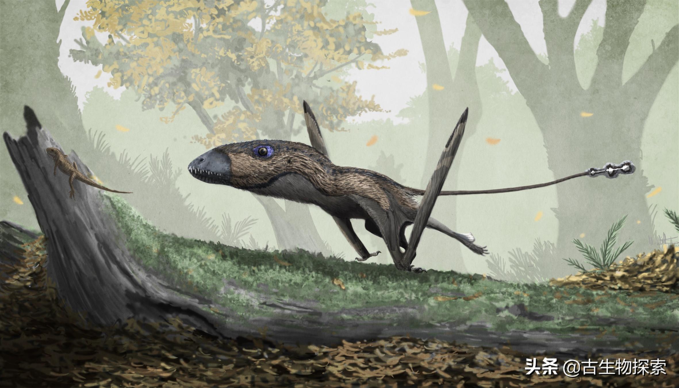 科学家发现恐龙的线索,翼龙会吃什么