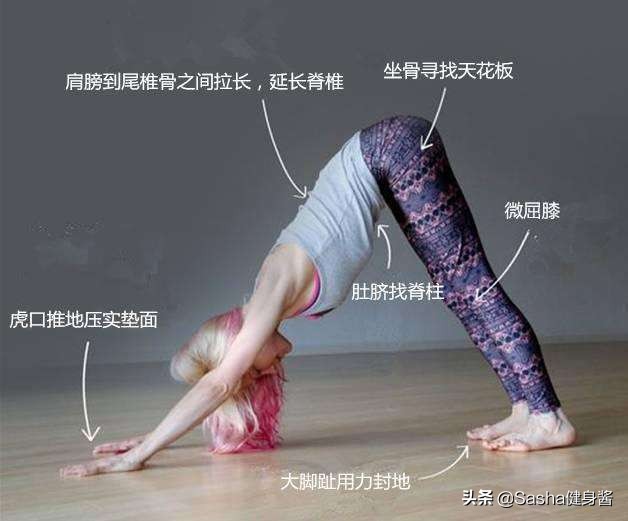 8个瑜伽动作让肩膀背部越练越薄,塑身瑜伽瘦手臂和背部的快速方法