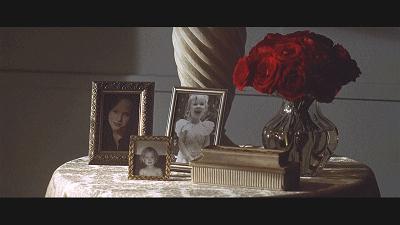 美国丽人风格,美国丽人美国风