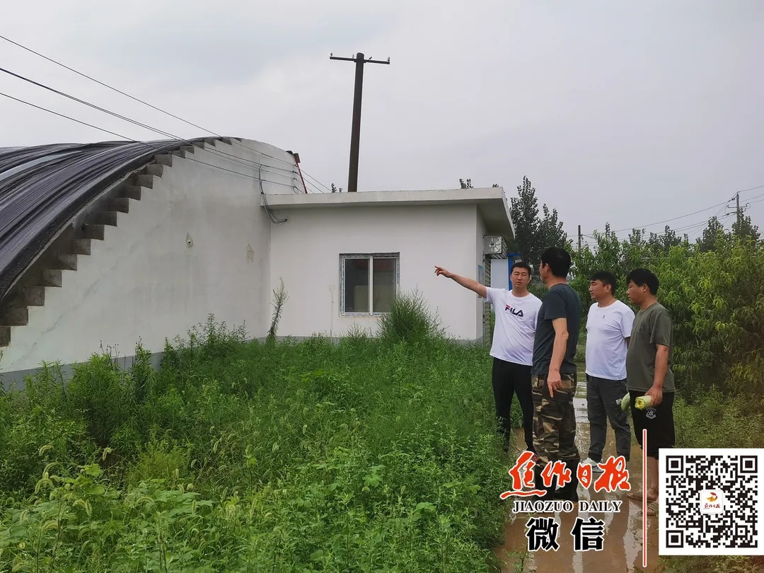 马村有个村一路通“东海”