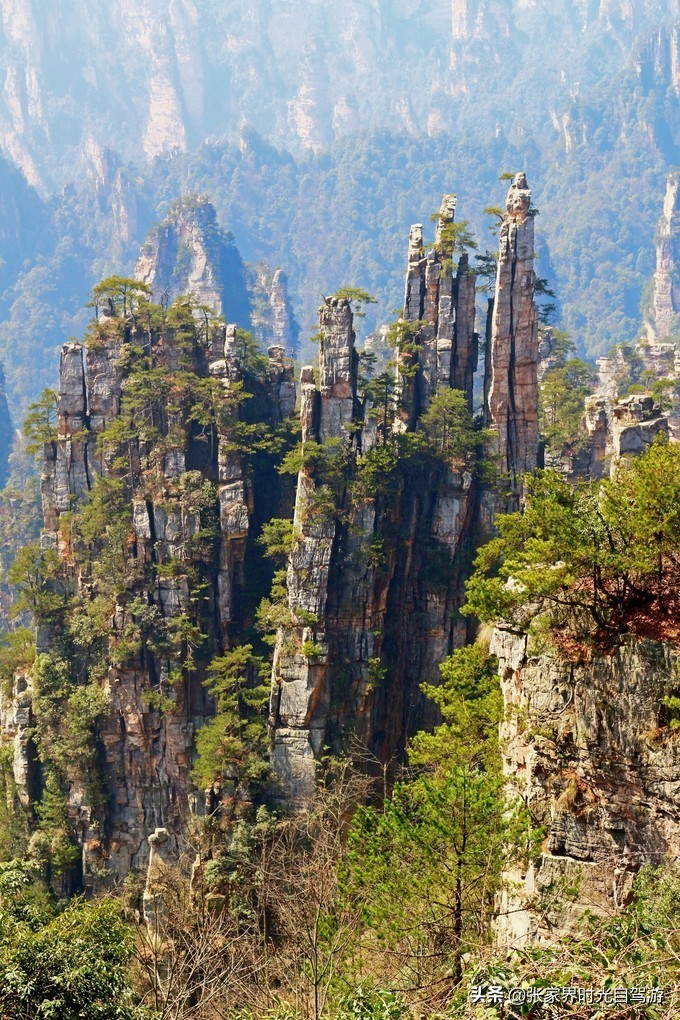 张家界森林公园亲子游攻略,张家界旅游攻略现在张家界气温