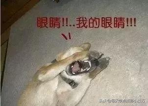 摄影小技巧,摄影面对镜头技巧