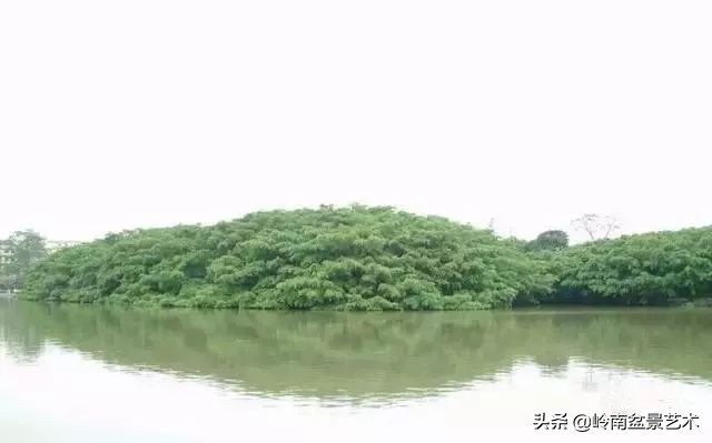 中国十大千年古寺古刹之首,中国十大千年古尸容貌复原成功