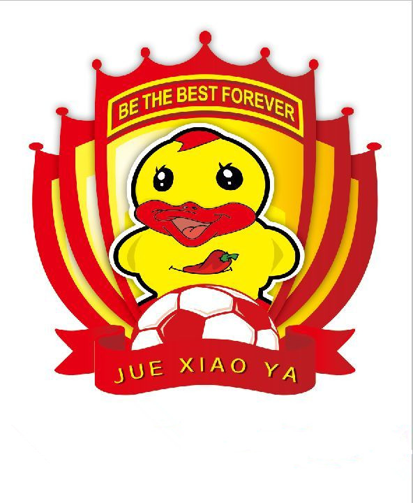 山东足球俱乐部队徽,山东省队徽章