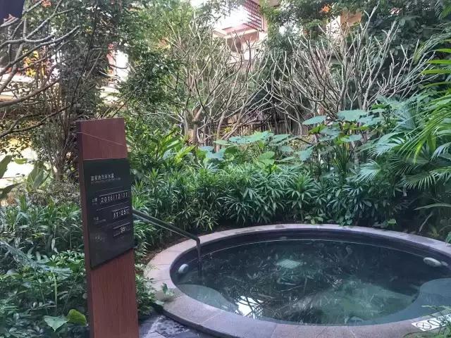 西双版纳13大旅游度假酒店，高品质，家庭出游最佳选择#版纳旅游