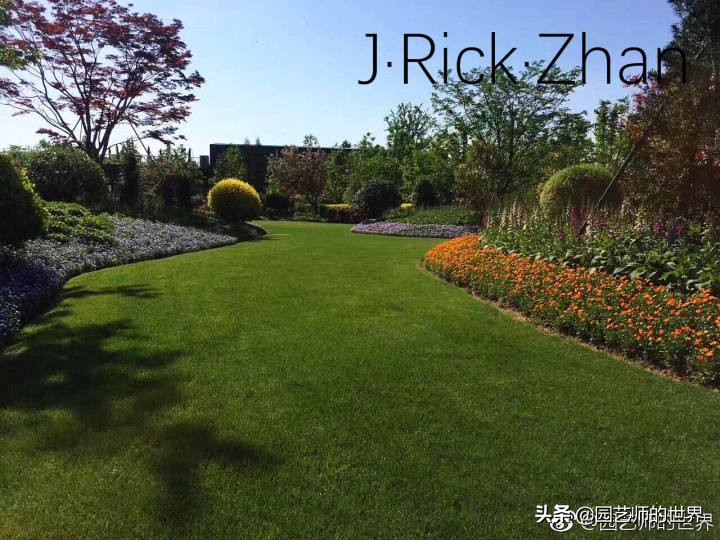 怎样种植草坪技术,果岭草坪的种植养护方法及技巧