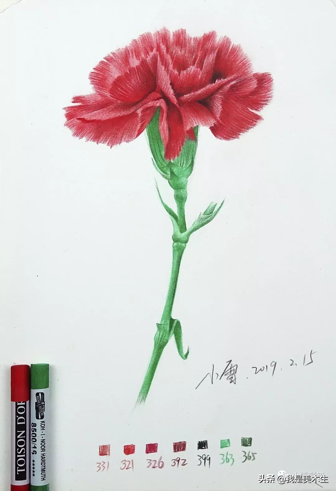怎么画一束美丽的彩铅康乃馨,怎么用彩铅给纸做康乃馨上色