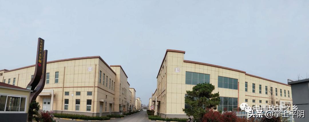 聚焦疫情防控精准复工复产,聚焦转型发展助力复工复产