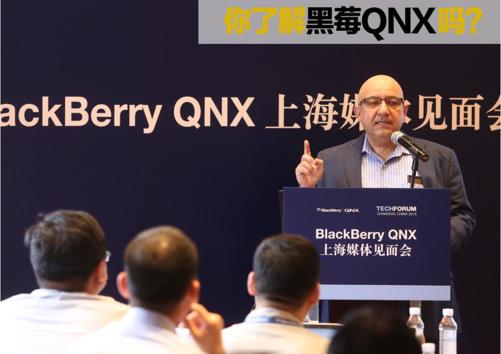 黑莓系统最强款,黑莓系统的现状