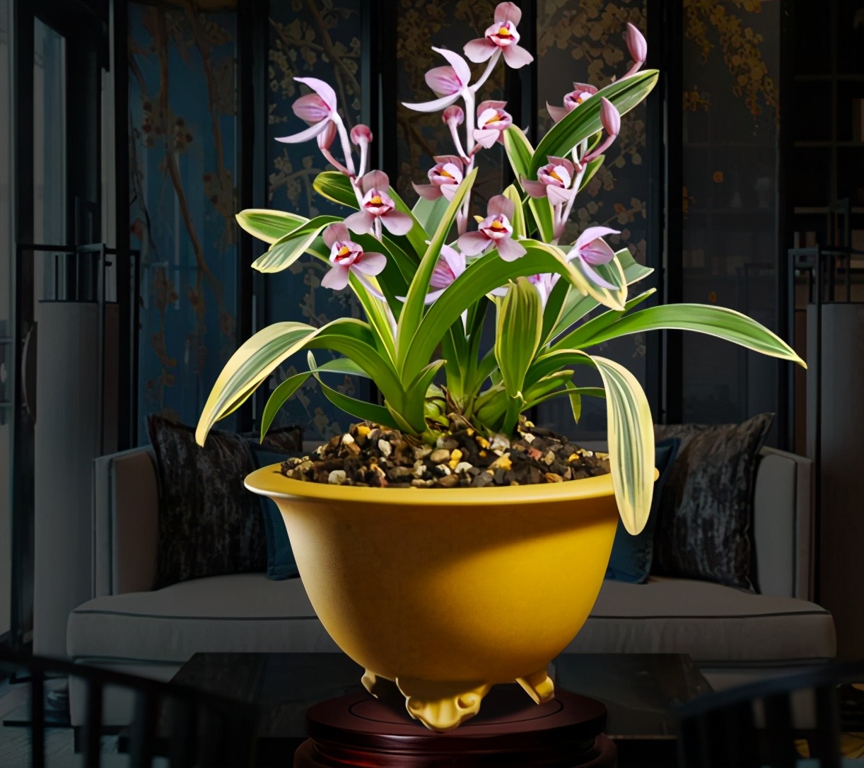 荷瓣最好的兰花品种排行,荷瓣兰花性价比最高的品种