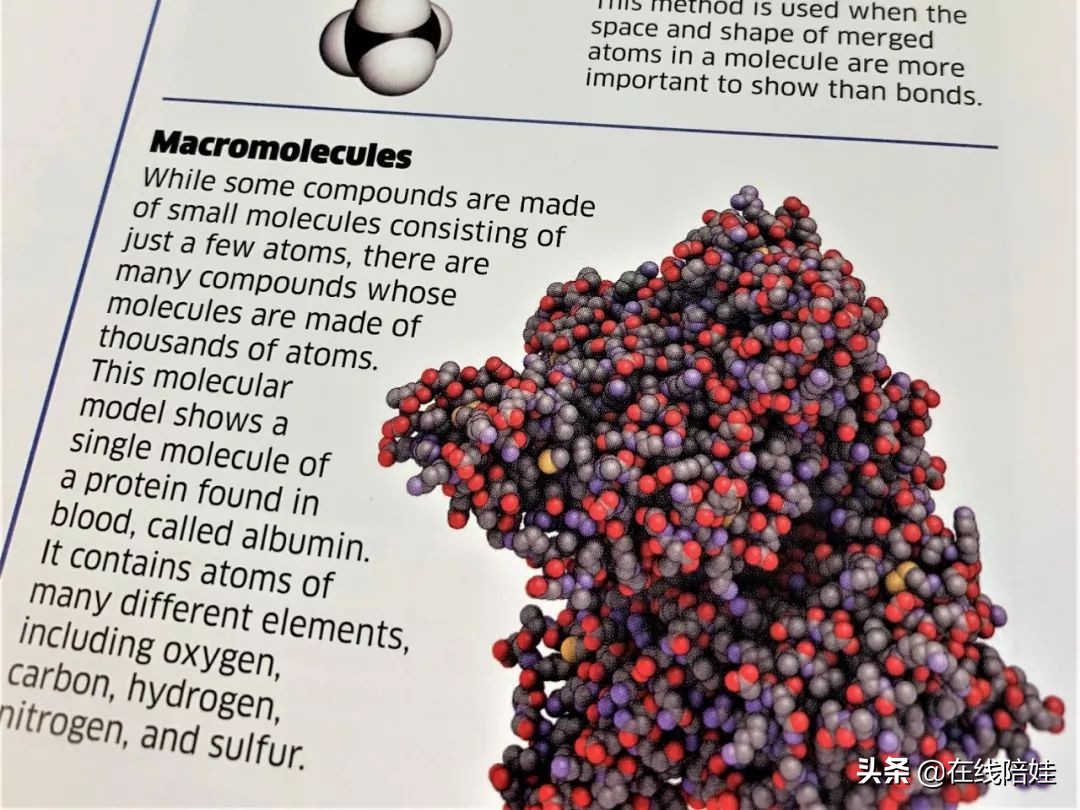 dk知识大百科全套,dk知识大百科书金银版