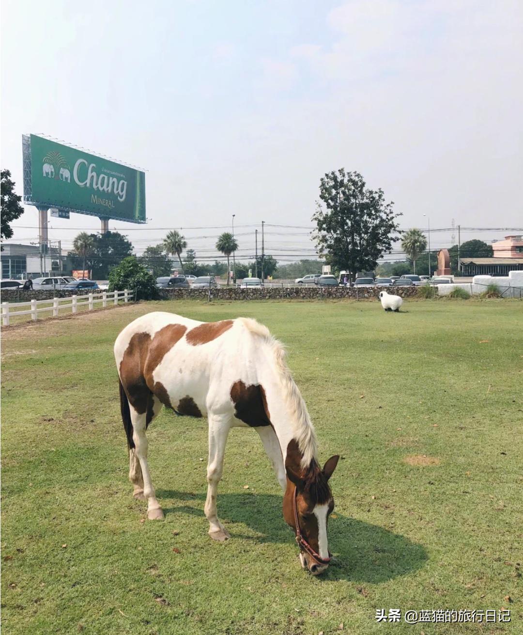 泰国华欣气候怎么样,泰国华欣风景图片