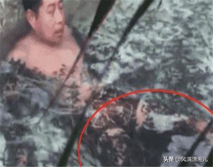 做鱼疗导致鱼儿全死原因,做鱼疗导致鱼儿全死搞笑视频