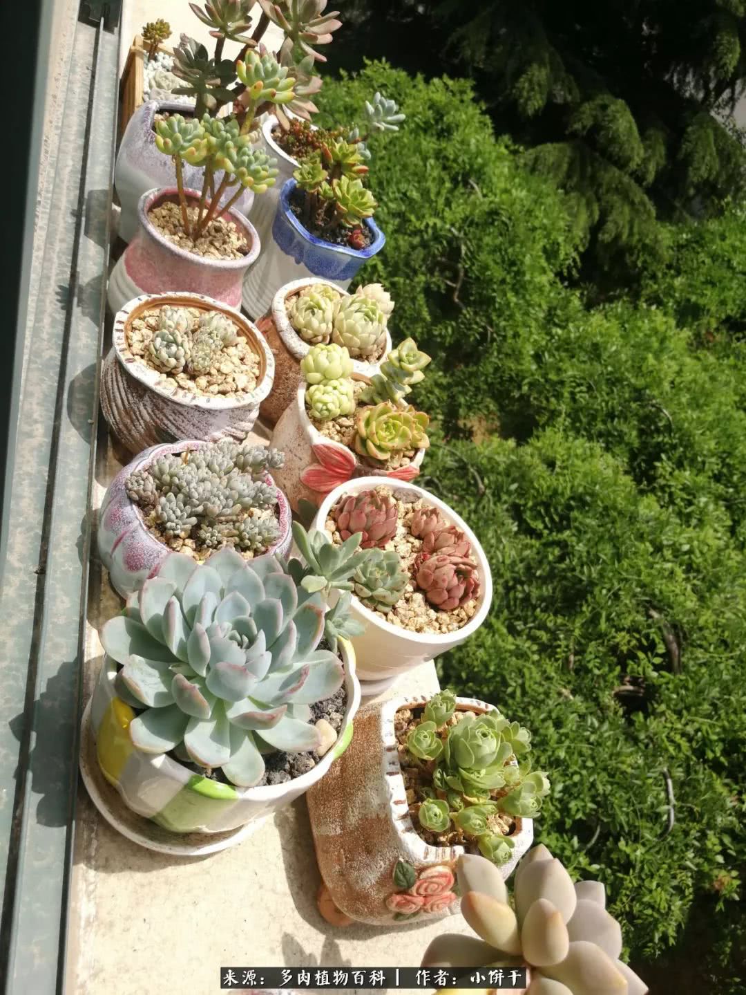 无肉不欢的肉瘾少女，日日沉迷于美色无法自拔！