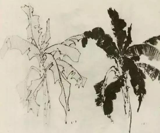 缠枝、挺杆、屈节、钮裂、一棵树如何画？看了这篇你绝对能学会