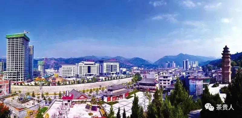 茶眼看陕西最新视频,茶眼看陕西