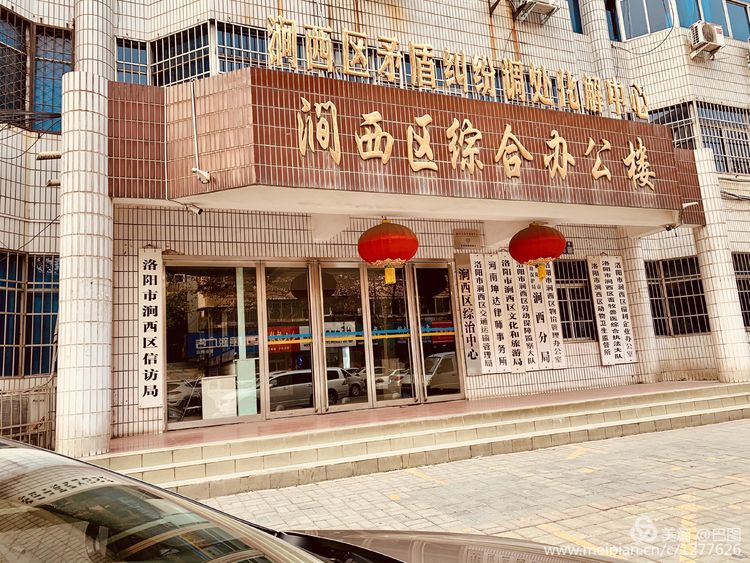 涧西牡丹广场老照片,洛阳牡丹手机拍照