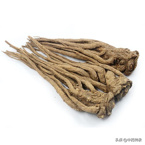 当归选购,挑选当归片的最佳方法