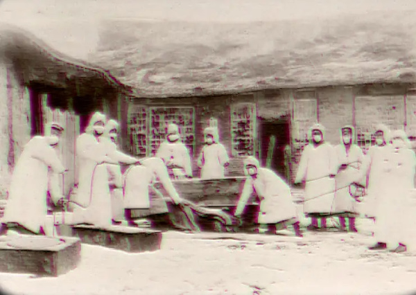 伍连德防治鼠疫为何成功,伍连德抗鼠疫共几年