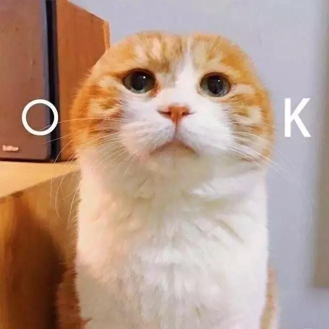 有没有办法让猫咪拉屎不臭,猫咪嘴臭是怎么回事