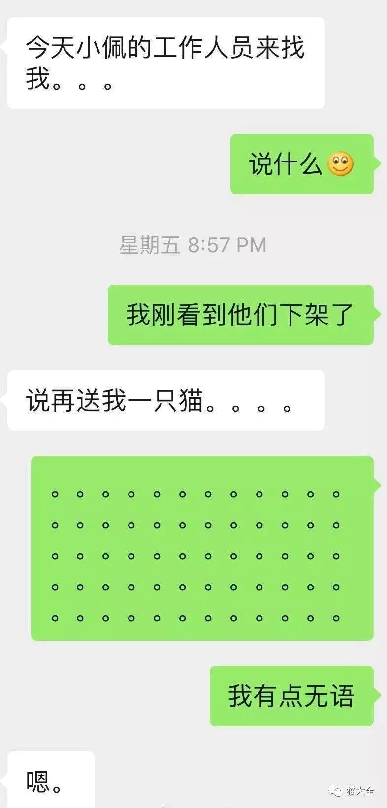 会杀死猫咪的小佩猫窝，请立刻停用