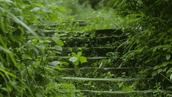 一家四口倾家荡产在山里造房隐居：3年零收入，坚持不通车