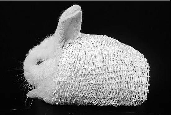 流浪地球没进入地下城的人怎么办,流浪地球地球为什么要流浪