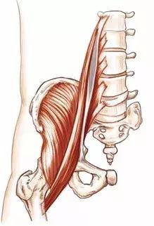 髂腰肌紧张的原因是什么,髂腰肌紧张和腰方肌紧张