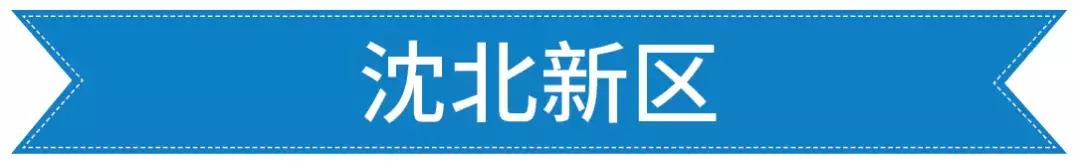 沈阳即将开发的学校,沈阳未来五年学区房